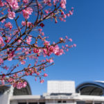 α7cで撮った埼スタ